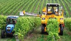2015 French Wine Crop Reaches 47.7 Million Hectolitres
