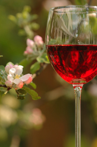ROSÉ WINES. SO VERY VERSATILE - Liz Palmer - International Wine and