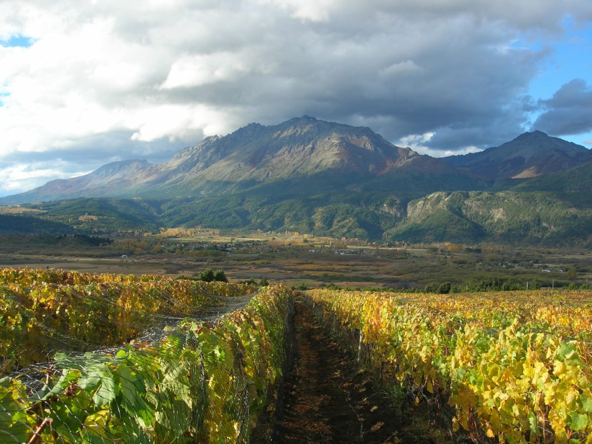 Chubut – Argentina’s New Emerging Wine Region
