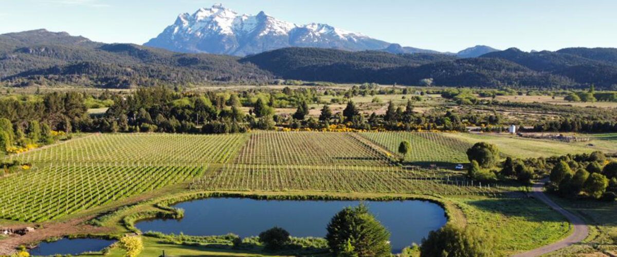 Happy Malbec World Day – Here are Some Fun Facts to Help you Celebrate