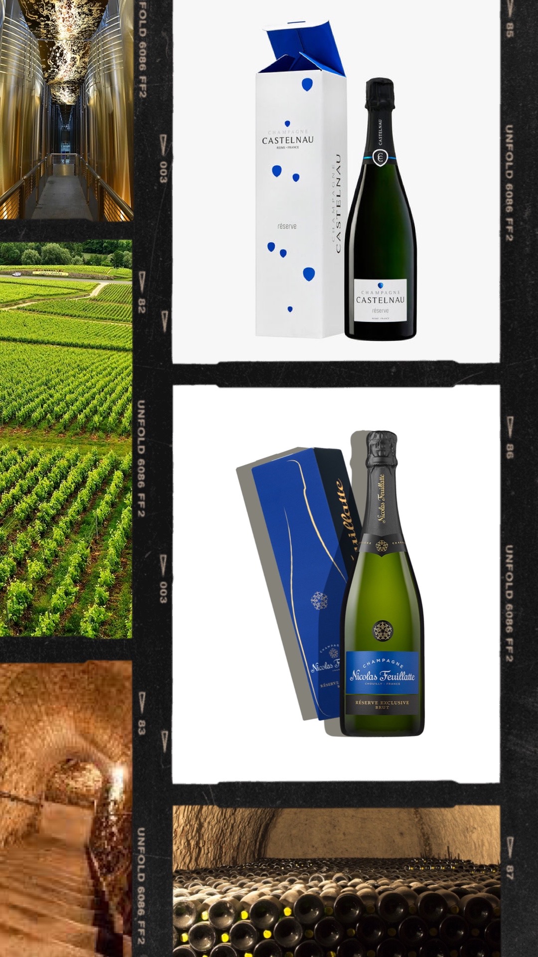 Champagne Nicolas Feuillatte and CRVC merge to form “Terroirs et Vignerons de Champagne”