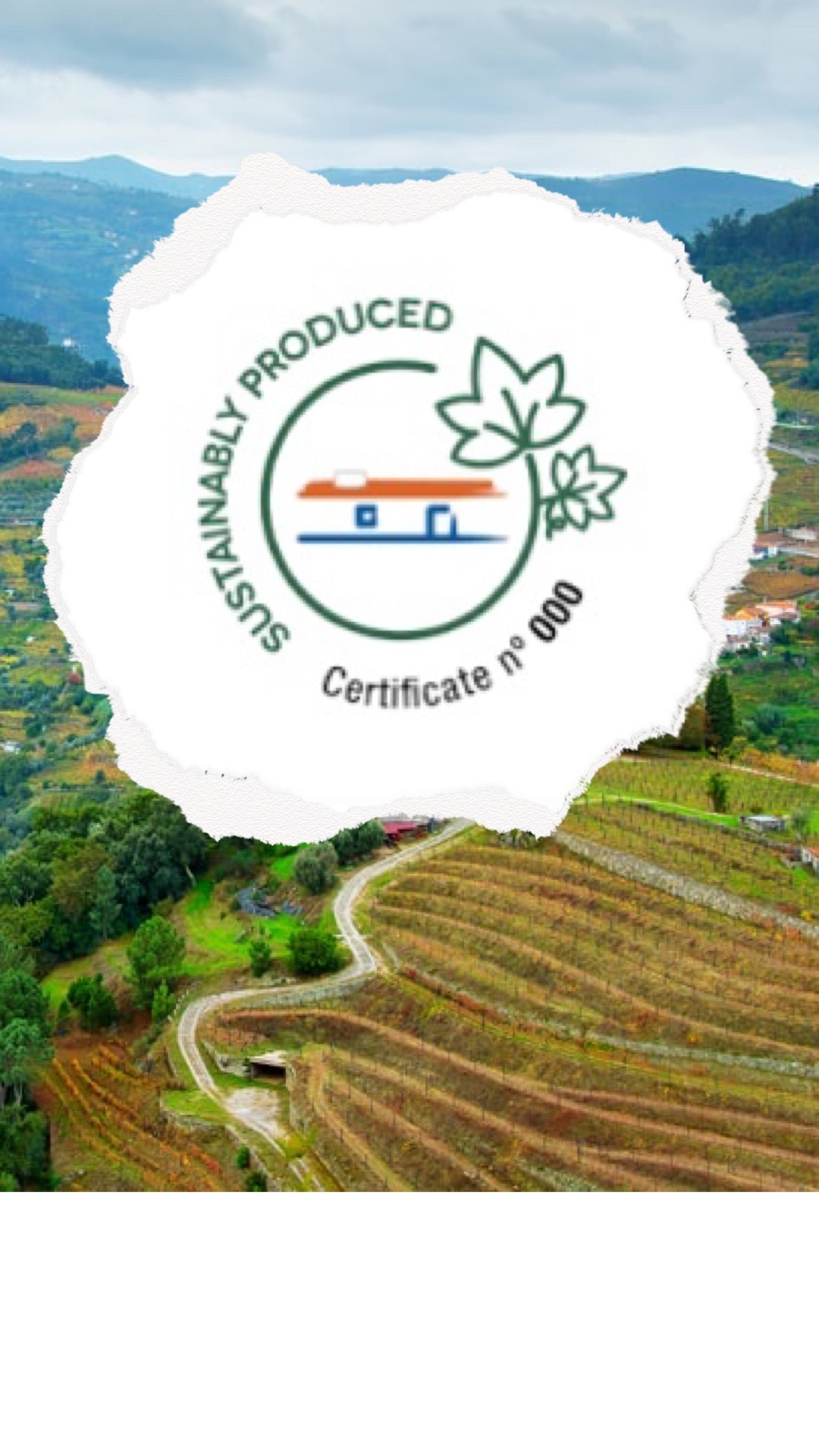 Wines of Alentejo Announce New Sustainability Certification Program