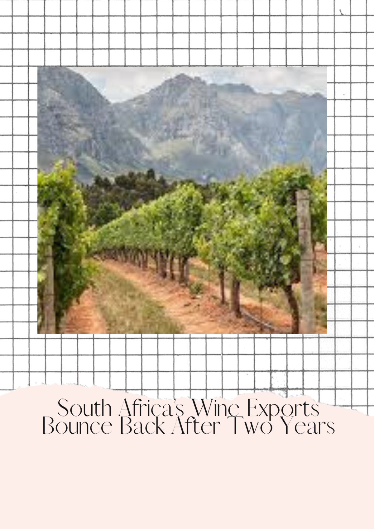 South Africa’s Wine Exports Bounce Back After Two Years