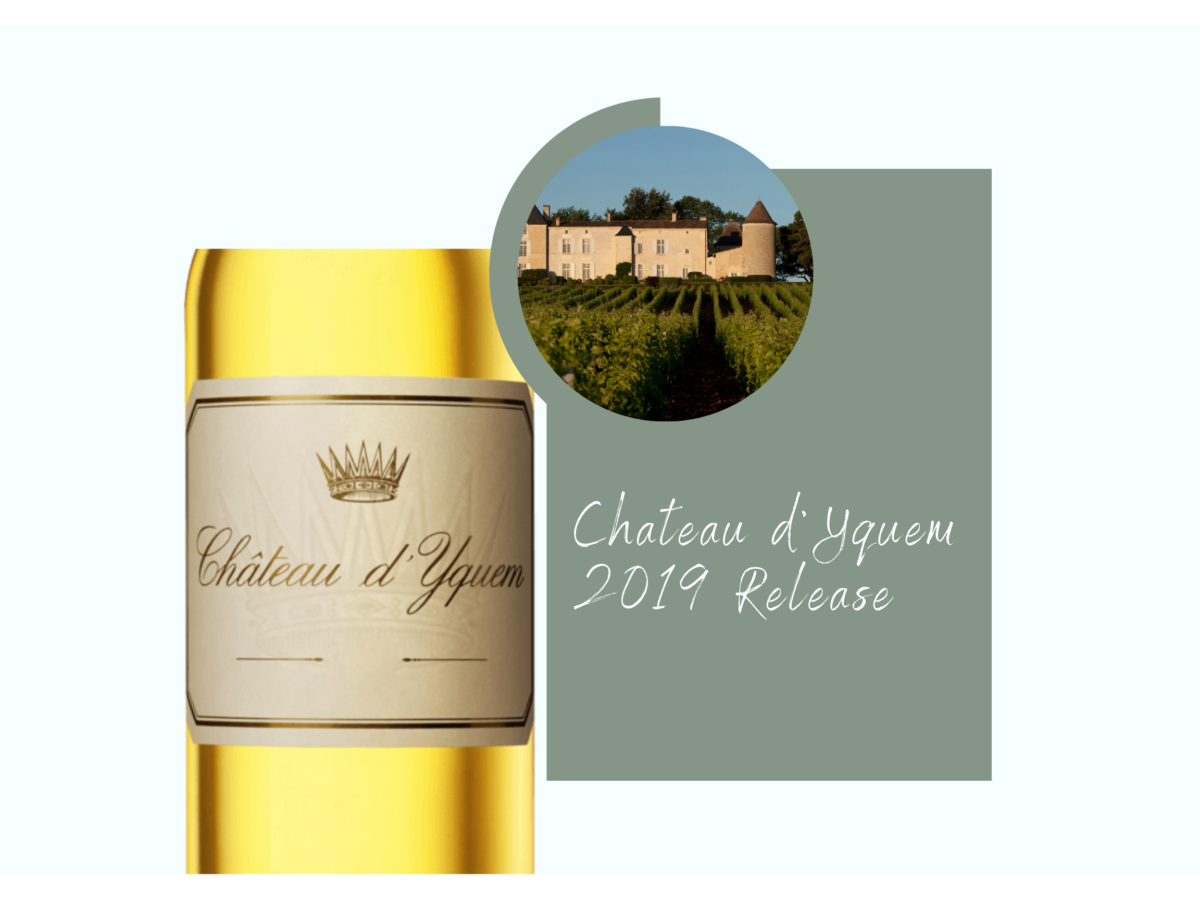 The Château d’Yquem 2019 Vintage
