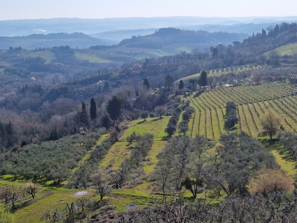 Discover the Kingdom of Vernaccia di San Gimignano Through the Wine Preview “Anteprima  2022”