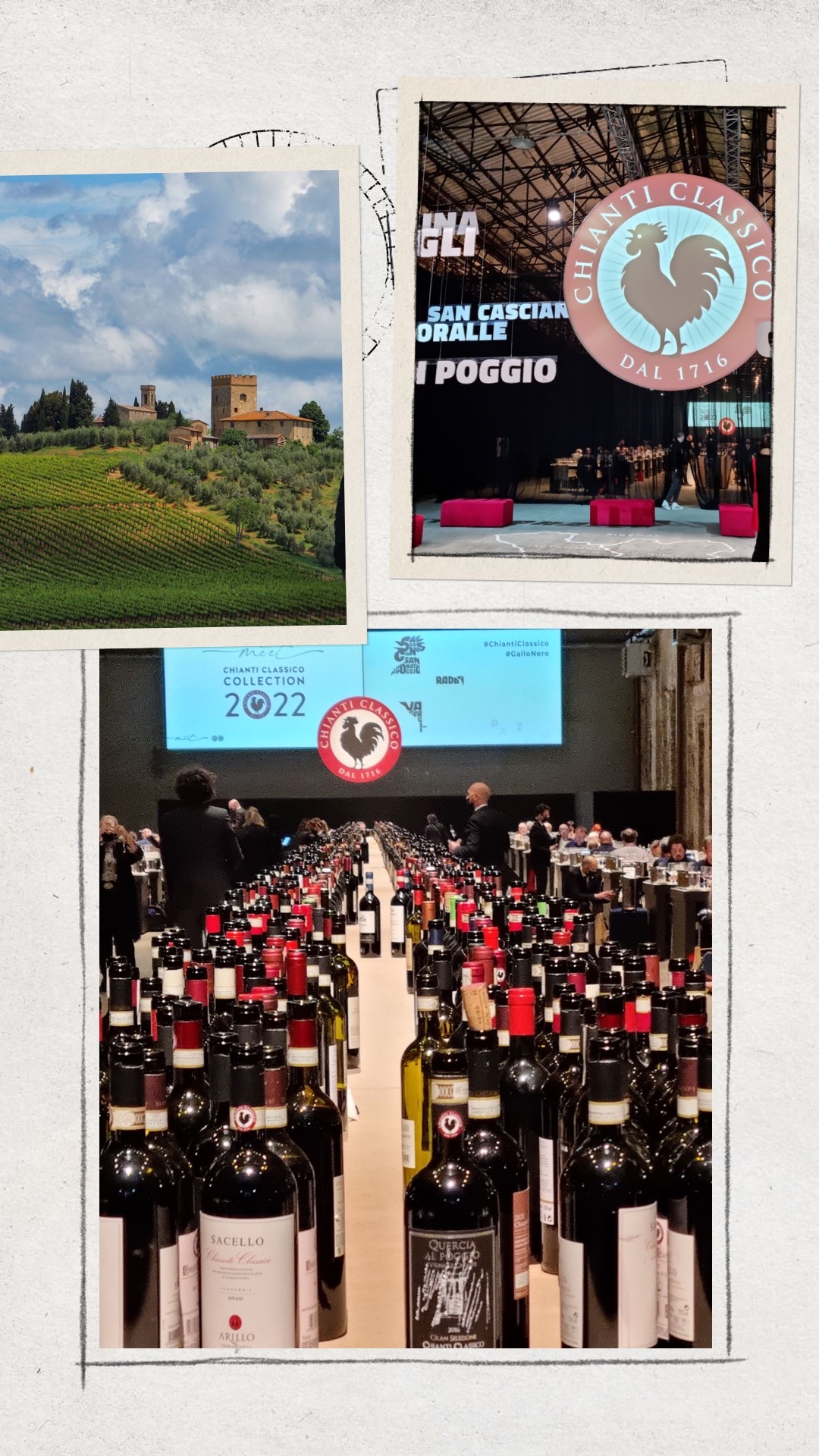 CHIANTI CLASSICO COLLECTION, AN ASSESSMENT OF ONE OF THE OF MOST CHARMING WINE TERRITORIES IN ITALY  – FILIPPO MAGNANI
