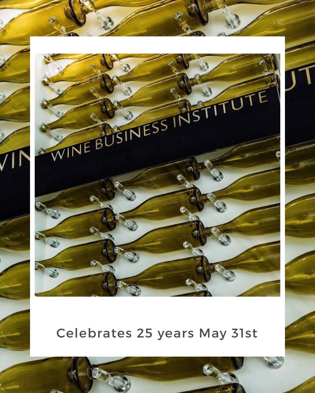 The Wine Business Institute Celebrates 25 Years on May 31st