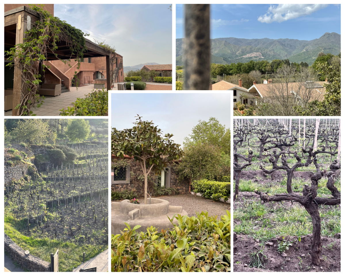 Cavanera Wine Resort – (Etna) Sicily