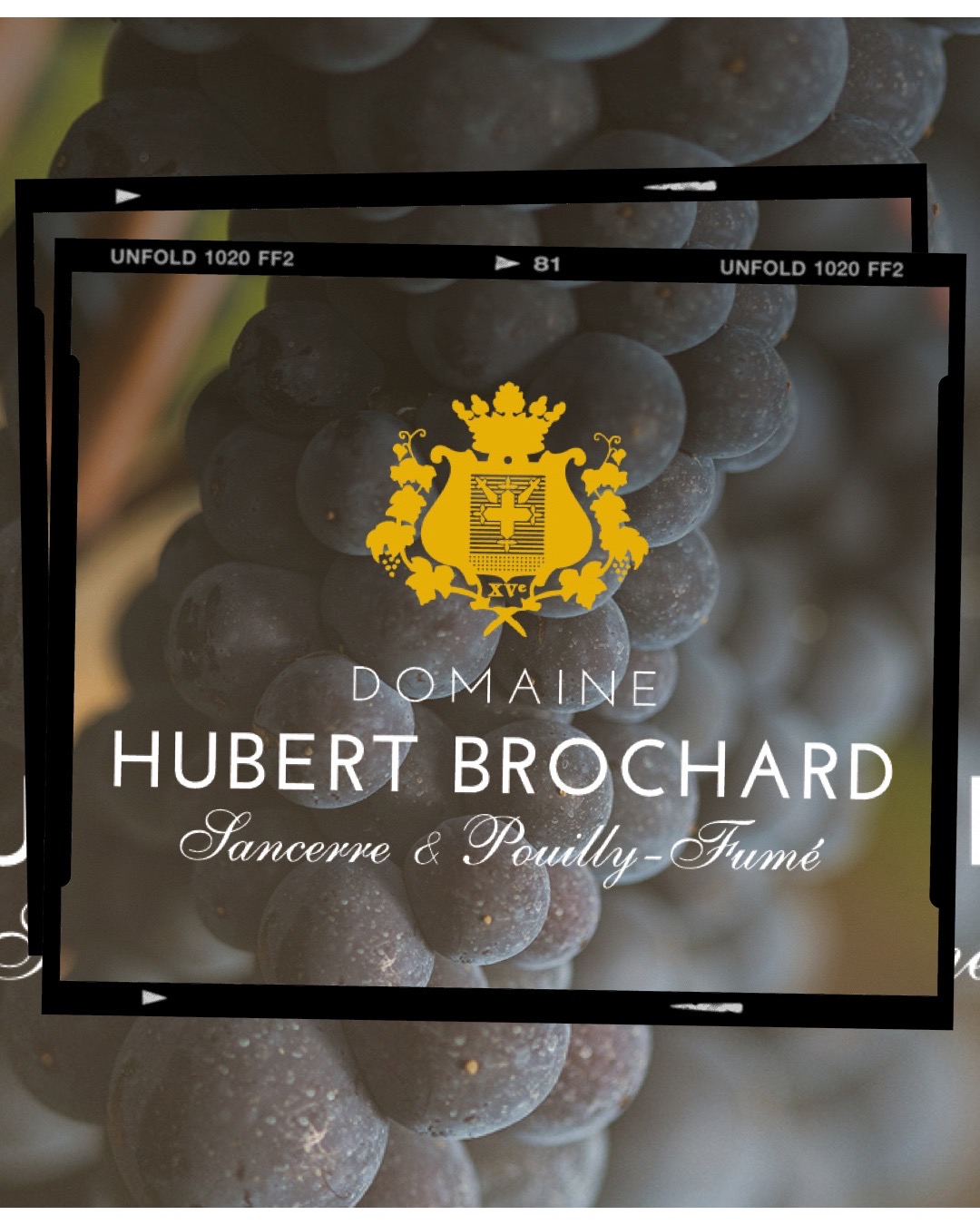 Wine News: Bollinger Group acquires Sancerre estate Hubert Brochard