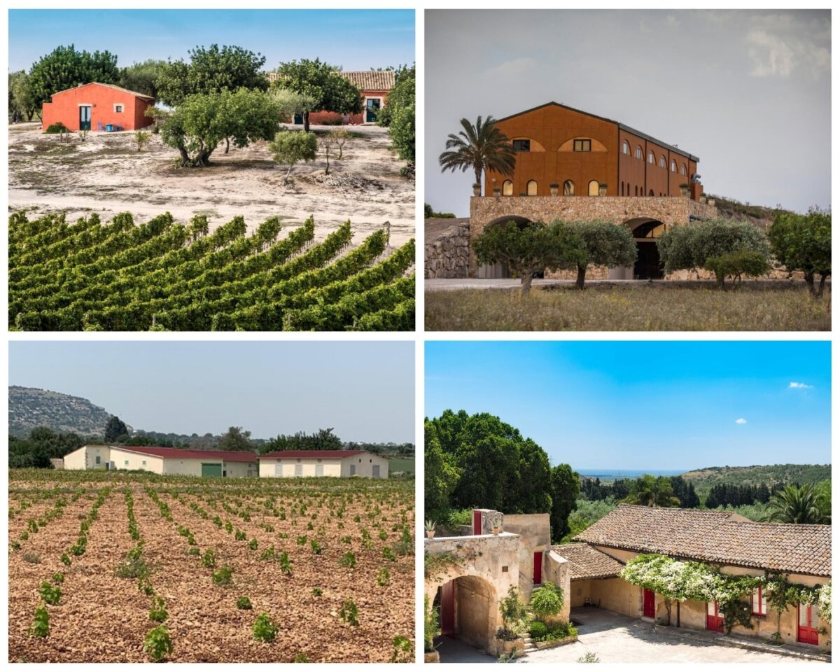 Discovering the Wine Secrets of Southeastern Sicily – Filippo Magnani
