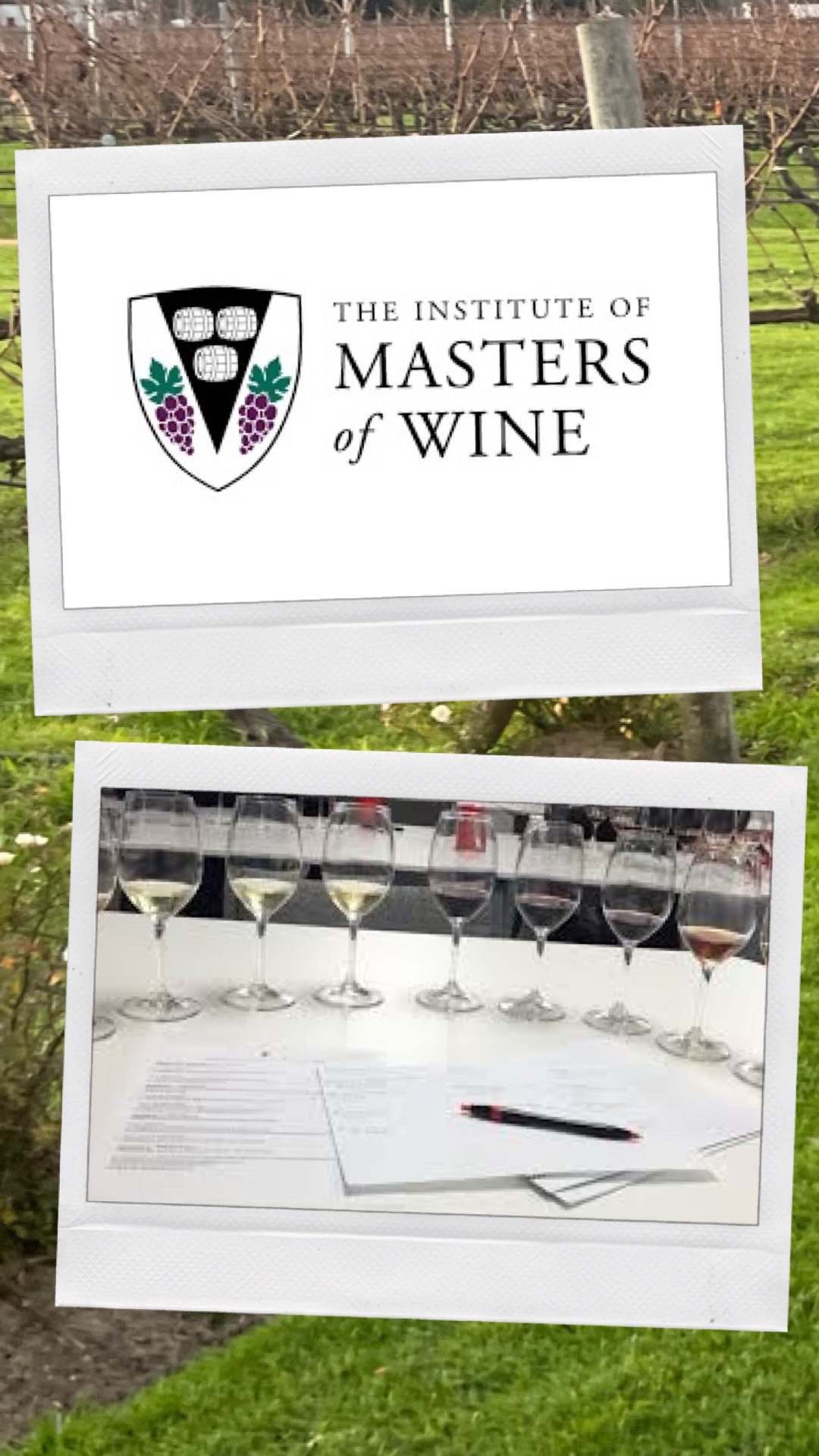 2022 Master of Wine exam questions + wines revealed