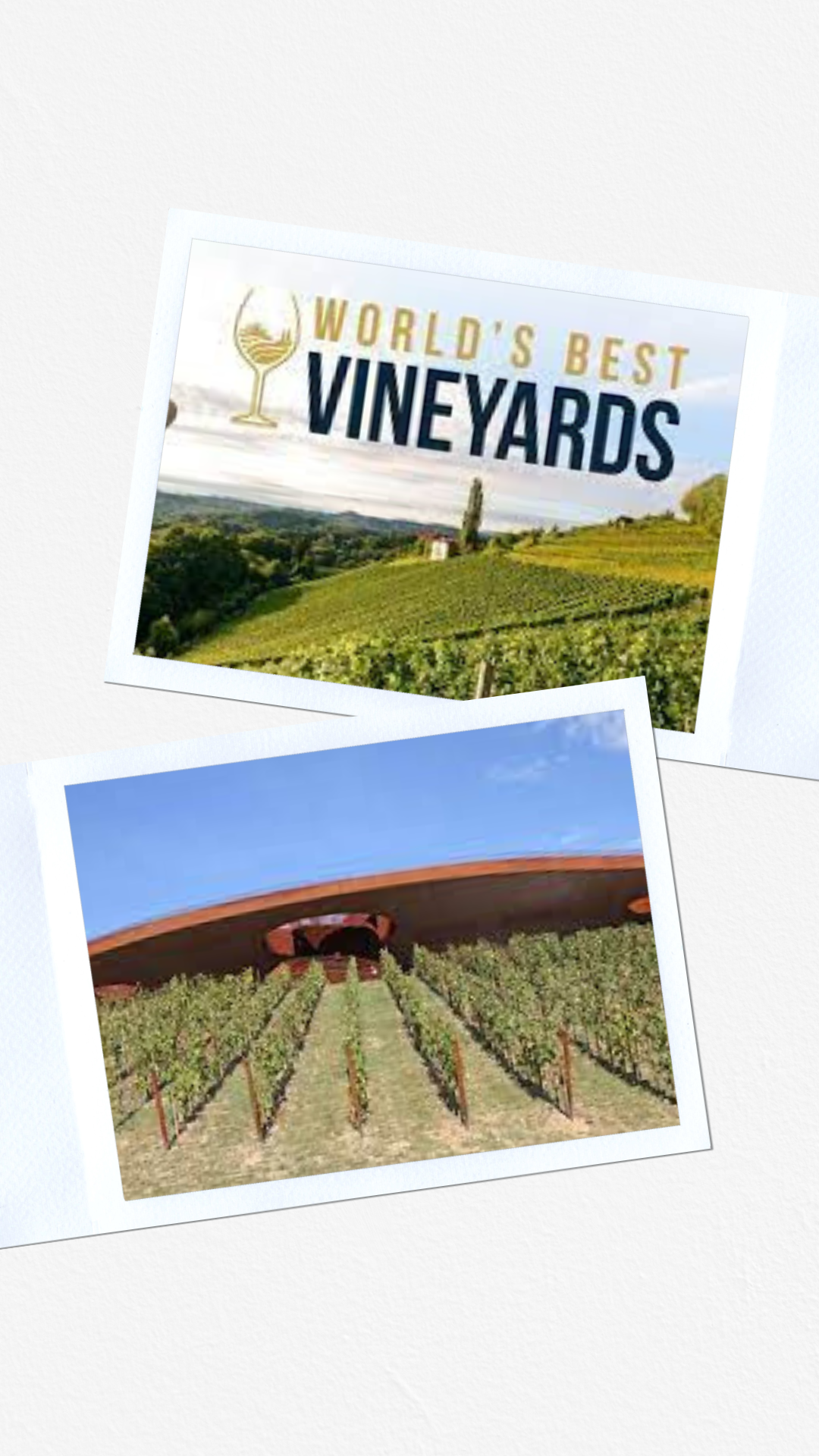 The “2022 World’s Best Vineyards” revealed last night