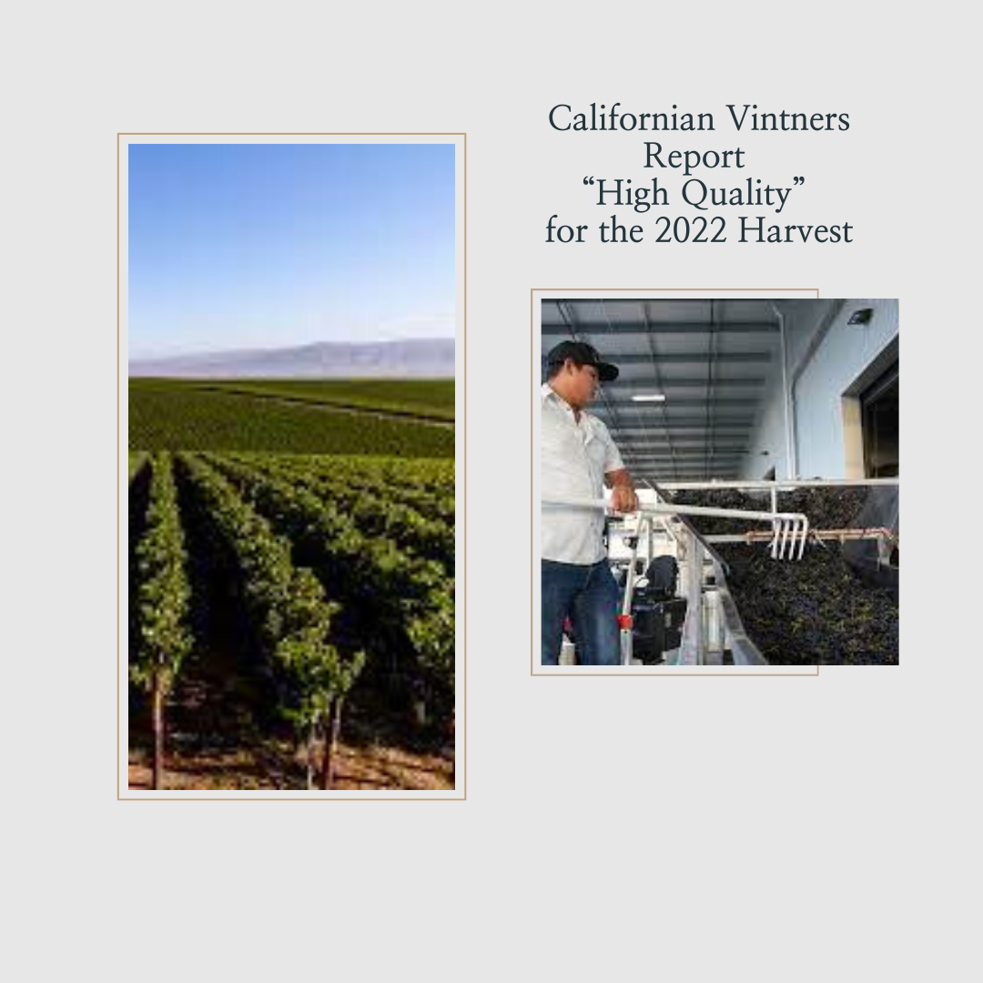 Californian Vintners Report “High Quality” for the 2022 Harvest