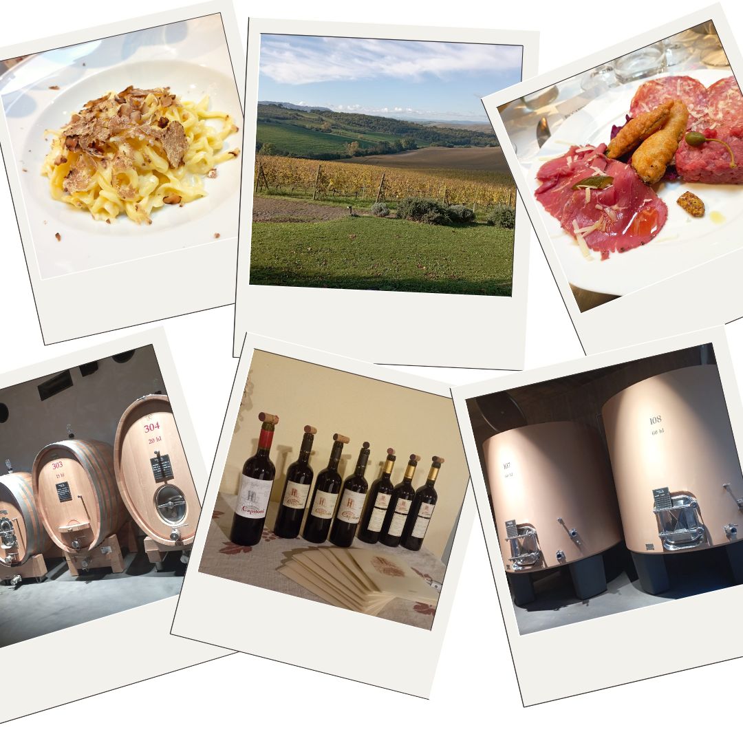 Orcia DOC – A fascinating wine territory in the heart of Tuscany – Filippo Magnani