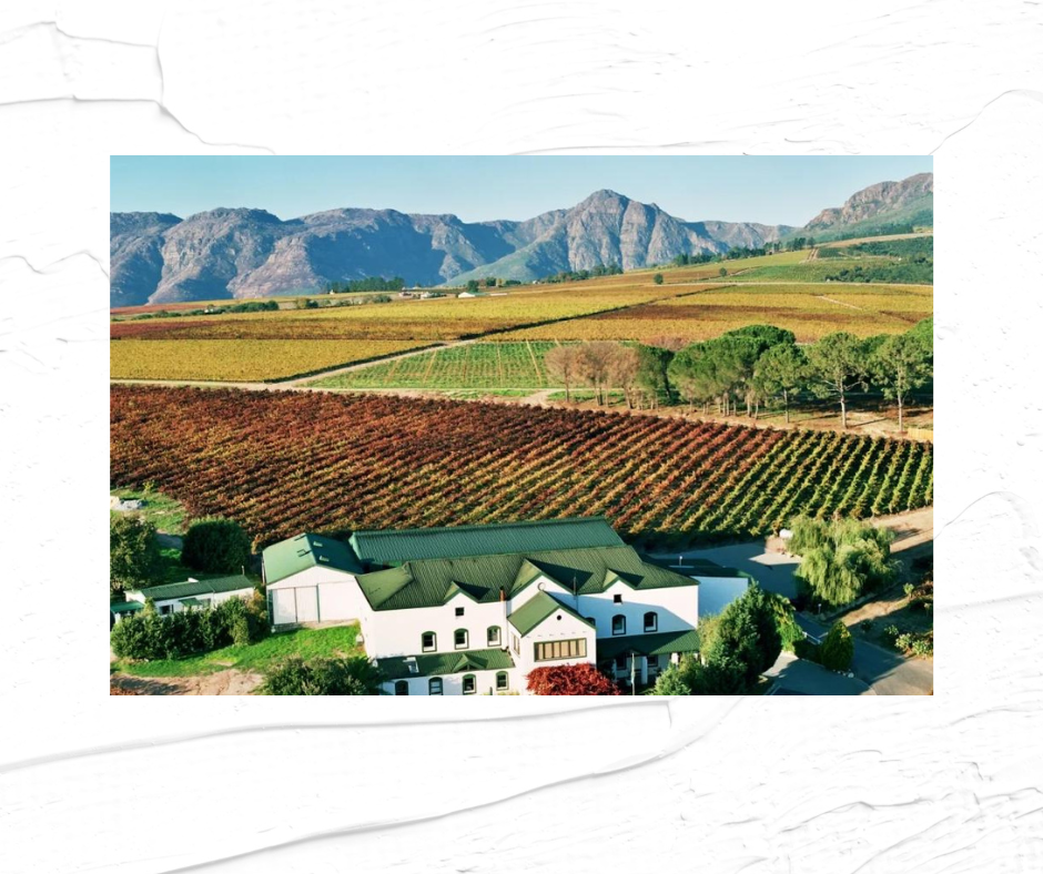 South Africa Wine Exports Fall in 2022