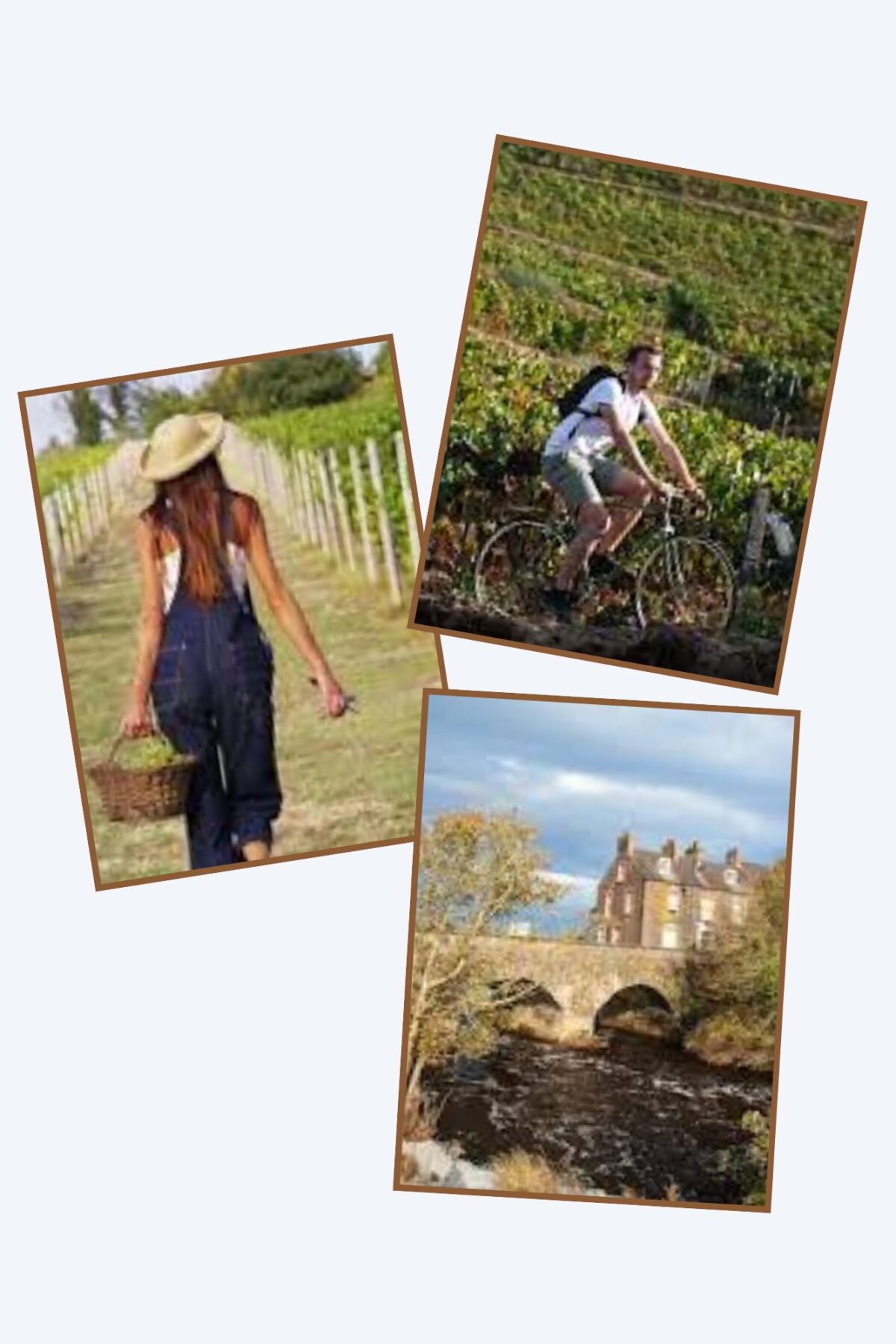 The Think Tank on Talent in Wine Tourism – Part I