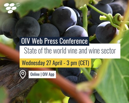 Current State of the World Vine and Wine Sector [Web Conference]