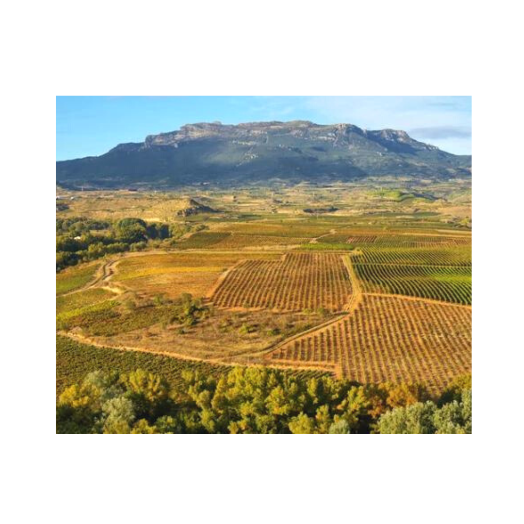 Rioja Adds 15 New ‘Singular Vineyards’
