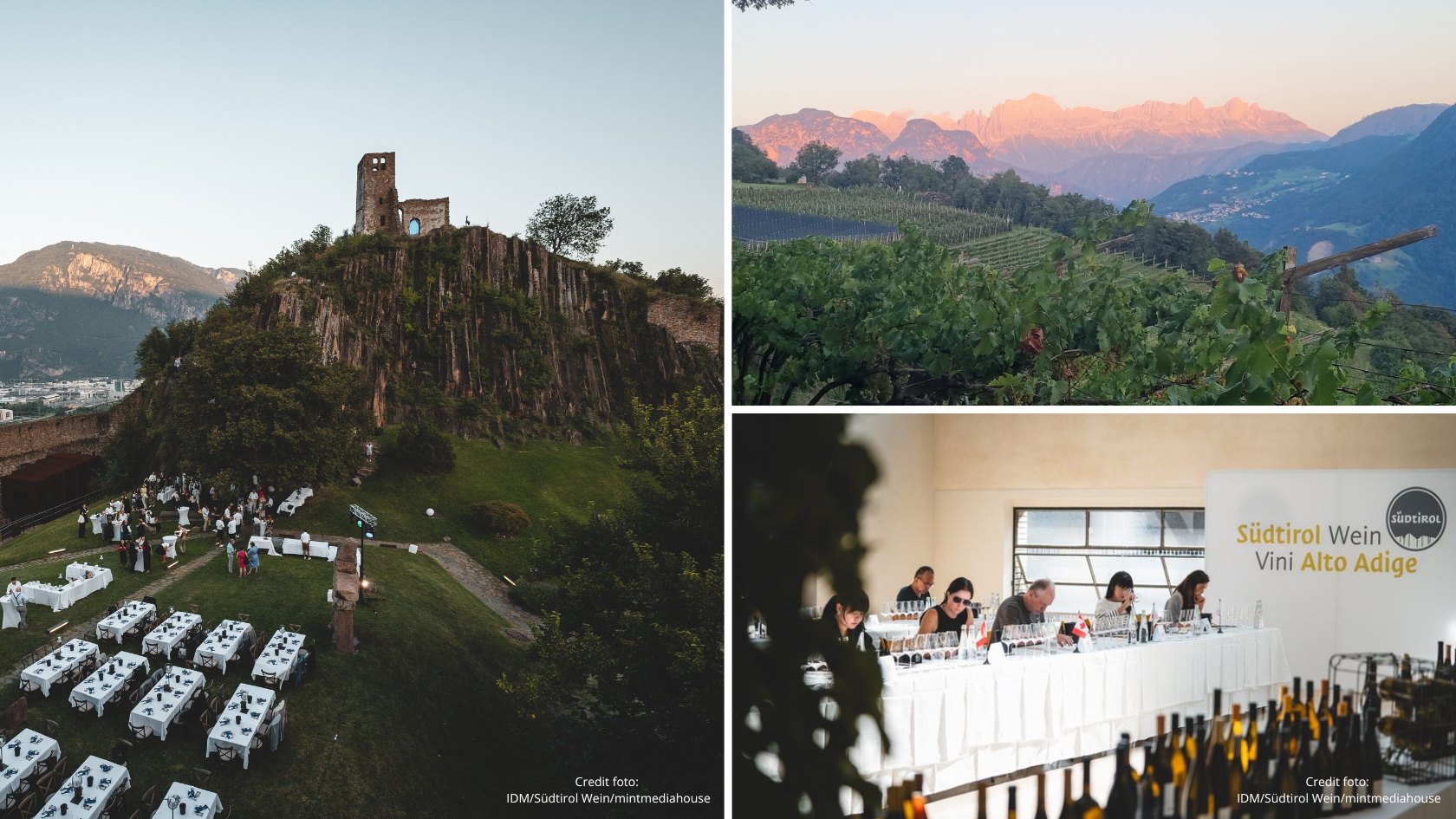 Alto Adige: An Alpine Paradise for Wine Lovers and Outdoor Enthusiasts ...