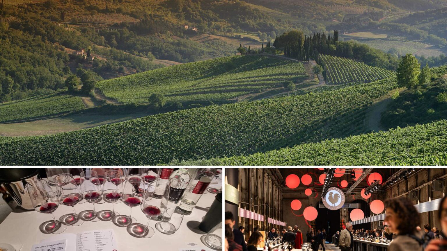 Chianti Classico Collection: Exploring the Charms of Italy's Iconic ...